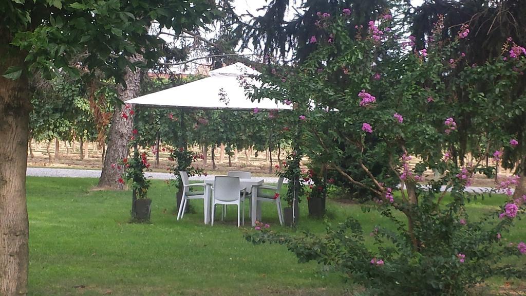 Agriturismo Villa Dei Gelsi Cotignola Eksteriør bilde